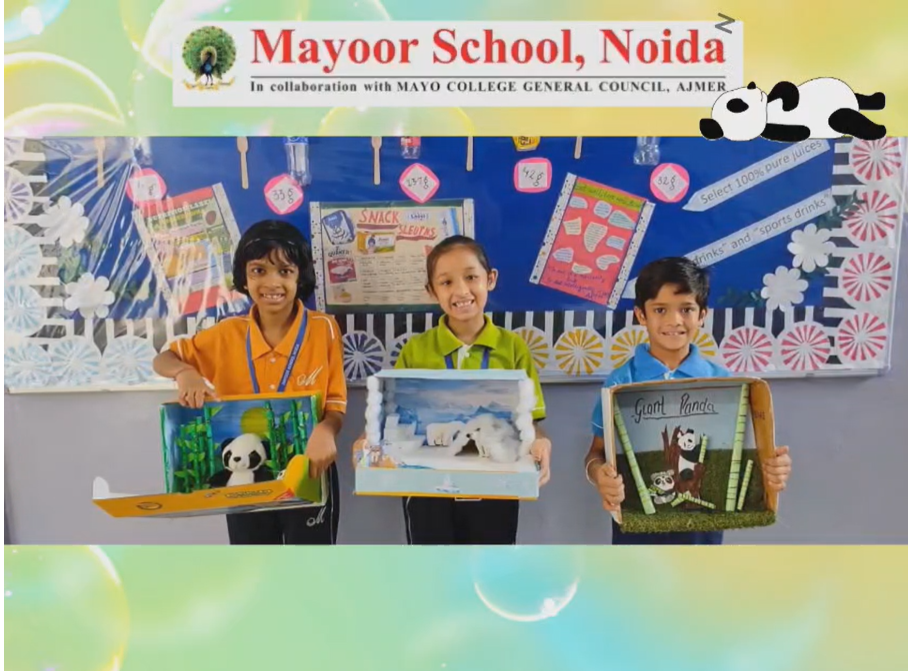 Creativity Met Conservation!