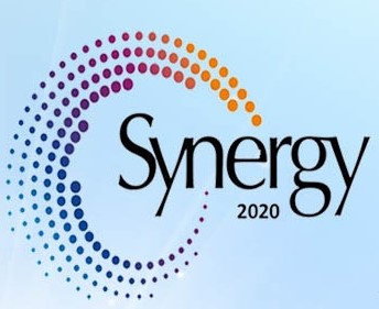 Synergy 2020: Inter School Extravaganza