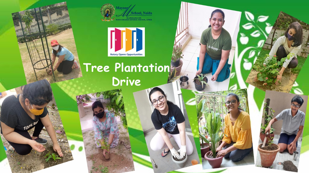 Mayoor Interact Club organises Tree Plantation Drive