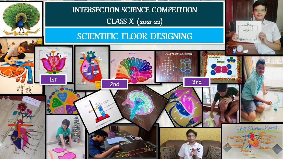 Inter Section Scientific Floor Designing Competition