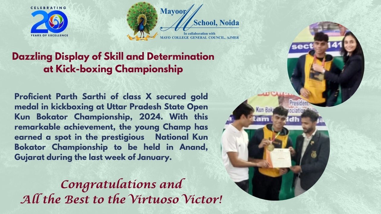 Dazzling Display of Skill and Determination at Kick-boxing Championship