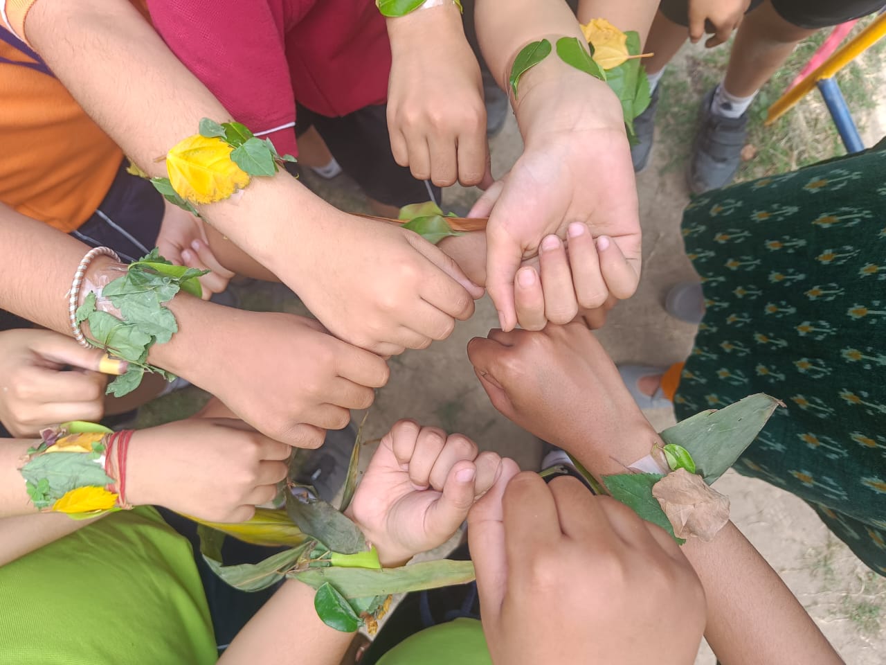 Nature Detectives: Class IV Explores the Schoolyard!